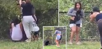 Пьяные американцы сняли медвежат с дерева ради селфи (7 фото + 1 видео)