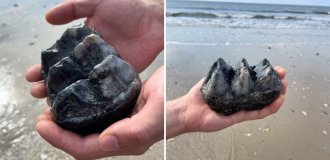 Мужчина нашел на пляже странный камень (3 фото)