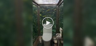 Туалет с аквариумом