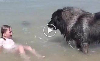 Собака спасает дочь хозяина от волн