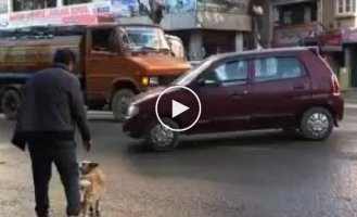 Хороший мальчик переводит своего хозяина через оживлённую дорогу в Непале