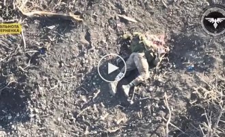 Полоккупанта исчезло после атаки украинского дрона