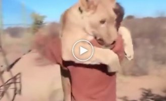 Животные обнимаются с людьми
