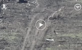 Уничтожение ударными дронами оккупантов на Авдеевском направлении