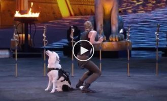 Талантливые собаки на шоу талантов