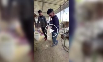 Как делают пакистанское мыло