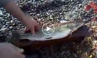 Как быстро почистить рыбу