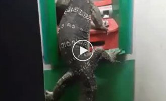 Когда перед банкоматом, вечно странный парень ошивается