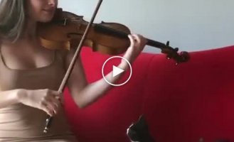 Котята любят, когда их хозяйка играет на скрипке
