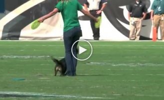 Когда девушка со своим псом вышли на поле, зрители позабыли о спортивном шоу
