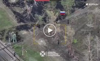 Пограничники ликвидировали двух оккупантов, еще одного ранили на Купянском направлении