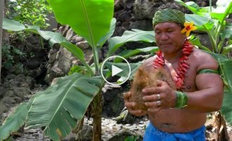 Как разделывают кокос в Самоа