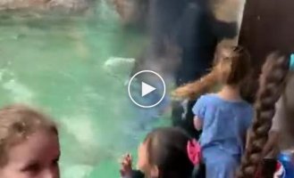 В зоопарке Нашвилла дети попрыгали вместе с мишкой