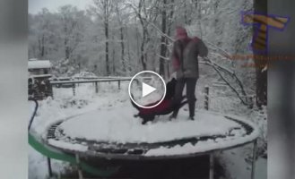 Несказанное счастье собак в снежном окружение