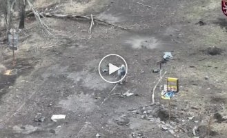 Оккупант догорает на дороге после атаки украинского дрона