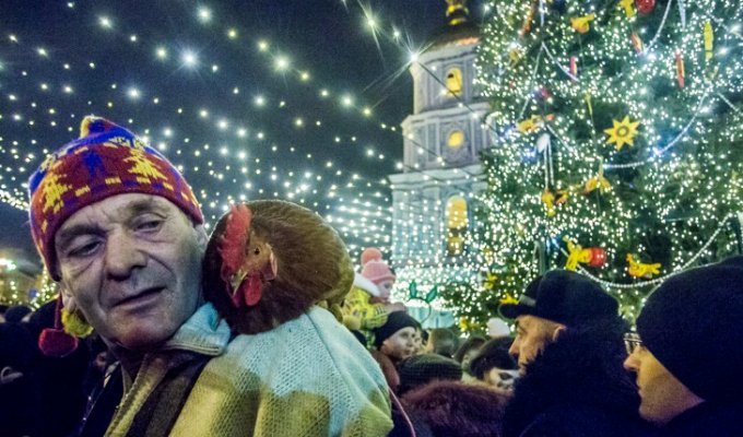 Как на Софийской площади в Киеве встречали год Петуха