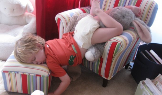 20 доказательств того, что малыши могут уснуть где угодно (20 фото)