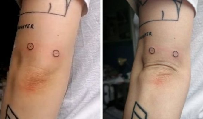 Креативные татуировки, которые "оживают" на коже их владельца (16 фото)