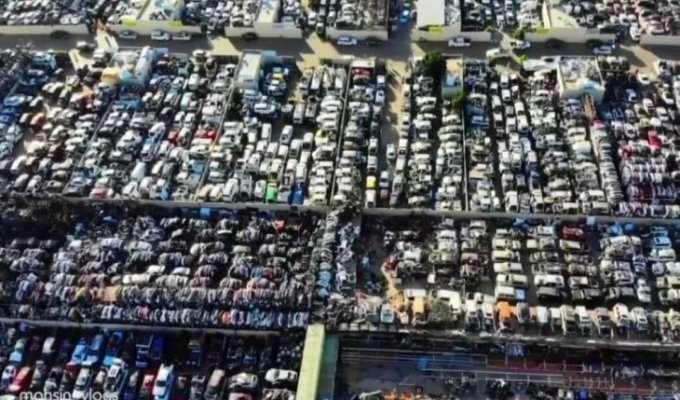 Тысячи заброшенных роскошных автомобилей в ОАЭ (9 фото + 1 видео)
