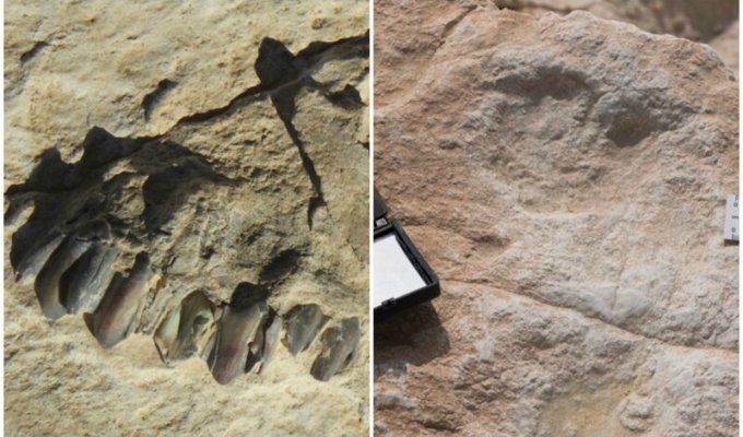 В Саудовской Аравии обнаружили следы древних людей (4 фото)