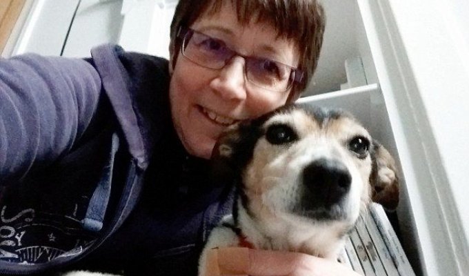 Женщина лишилась пальца, защищая свою собаку от разъяренного стаффа (4 фото)