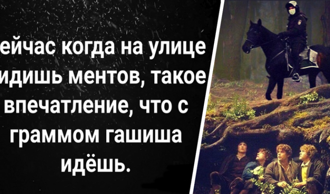 "Почему самоизоляцию нарушаем?": как полицейские в России стали мемом (19 фото)