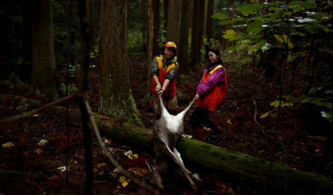 Женщины-охотники Японии (25 фото)