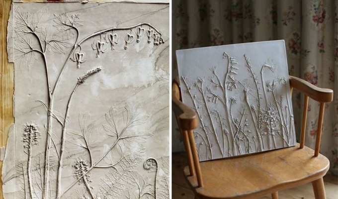 Британская художница Рэйчел Дейн создаёт искусные «окаменелости», используя живые растения и гипс (17 фото)