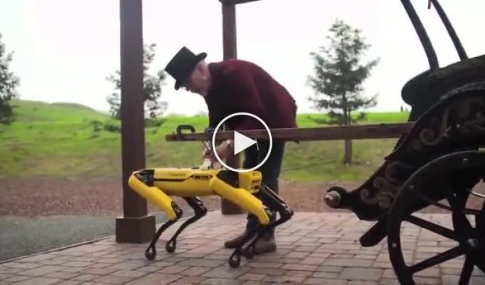 Адам Севидж придумал интересное применение роботу от Boston Dynamics