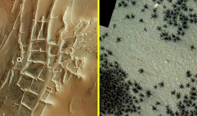 Сотни чёрных "пауков" замечены на Марсе (3 фото)