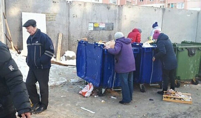Магазины оштрафуют на 700 тысяч рублей за просрочку в мусорных баках (1 фото)