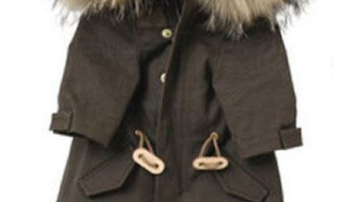 Загадка дня. Модная куртка (2 фото)