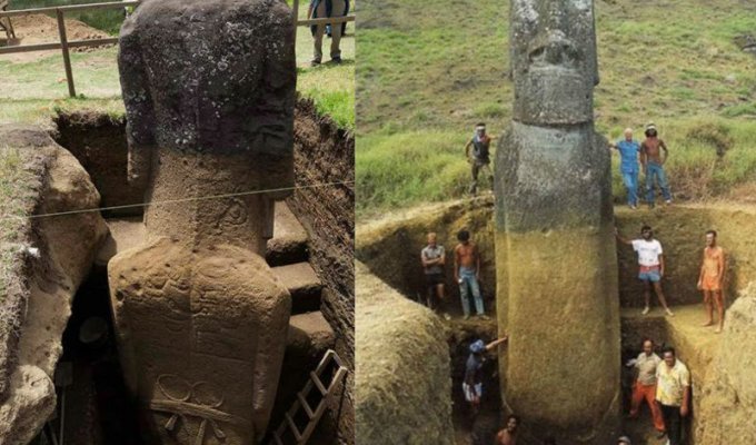 Колоссальные древнейшие моаи раскрывают ученым свои тайны (10 фото)