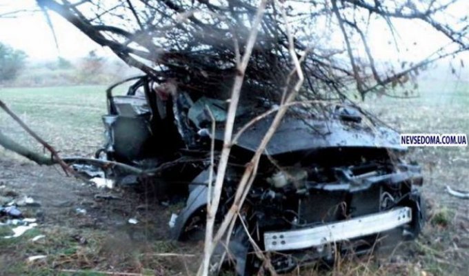 Страшная авария на Николаевщине с участием Infinity и Daewoo (5 фото)