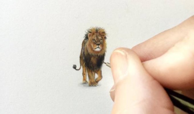 Удивительно точные миниатюрные рисунки Карен Лайбкэп (Karen Libecap) (32 картинки)