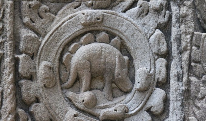 Стегозавр на стене древнего камбоджийского храма (8 фото)