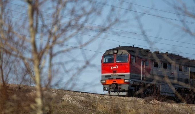 Сотрудница Свердловской железной дороги выиграла звание «Мисс БДСМ» (2 фото)