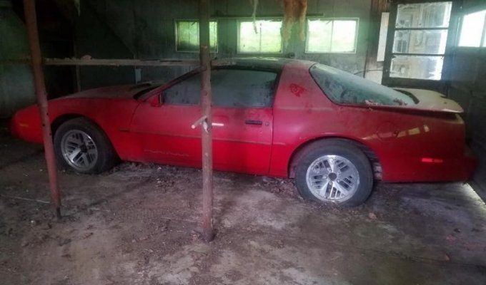 Pontiac Firebird провел 24 года в гараже или Жар-птица в неволе (14 фото)