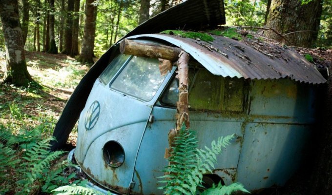 Спасение забытого в лесу Volkswagen T1 1955 года (20 фото + 1 видео)