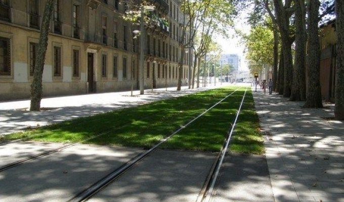 Трава на трамвайных путях (16 фотографий)
