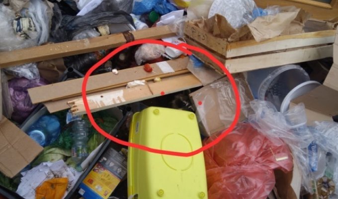 Необычная "находка" в мусорном контейнере в Москве (2 фото)