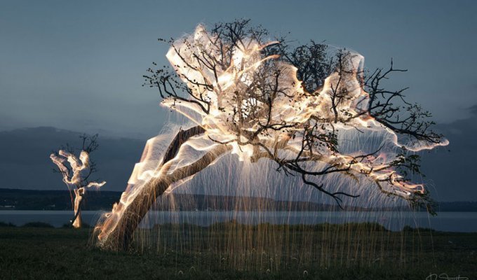 Фотограф снимает удивительные фотографии, показывая свет, «льющийся» с деревьев (6 фото)