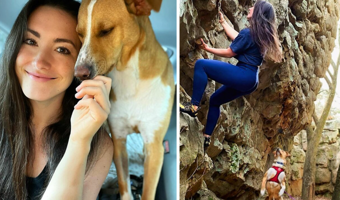 Бездомный пес увязался за туристкой, и теперь они вместе путешествуют по стране (22 фото)