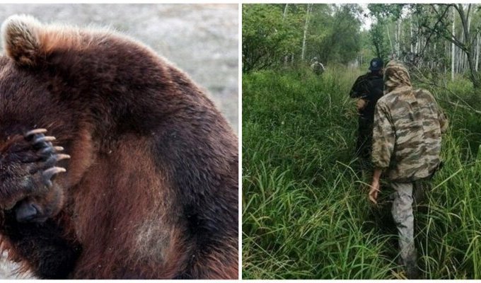 83-летняя россиянка сутки кричала и рычала из трясины на медведя (1 фото + 1 видео)