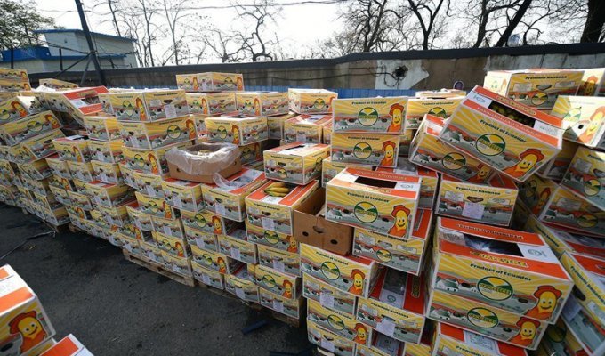 Во Владивостоке предприниматель бесплатно раздает бананы всем желающим (13 фото)