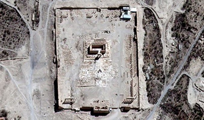 В ООН подтвердили уничтожение древнего храма в Пальмире (2 фото)