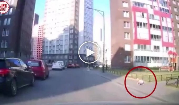 В Кудрово годовалый ребенок уполз с детской площадки на дорогу
