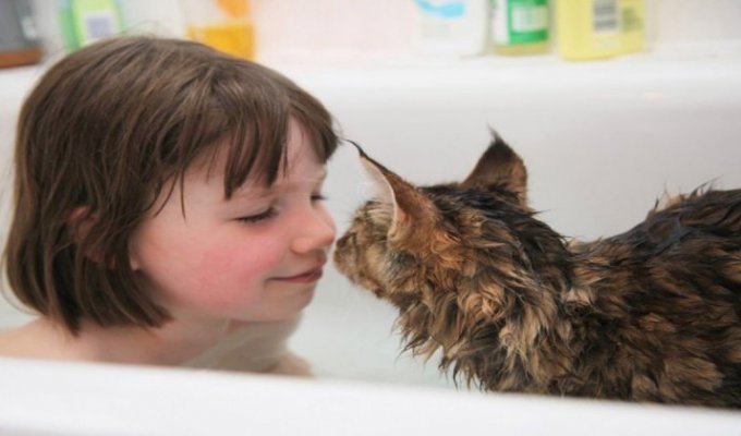 Кошка помогла больной аутизмом девочке научиться взаимодействовать с людьми (8 фото)