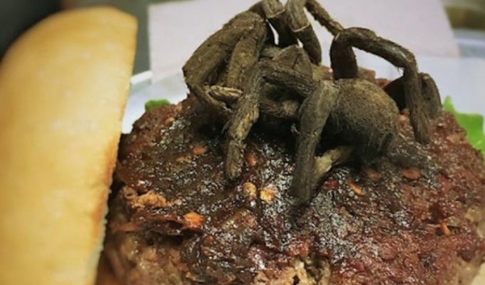 В одном из ресторанов Северной Каролины можно отведать бургер с тарантулом (4 фото)