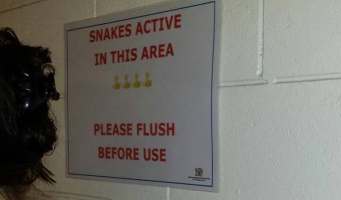 Типичное предупреждение в общественном туалете Австралии (4 фото)